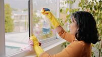 Keep your windows clean and the light shine in