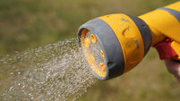 Hosepipe ban