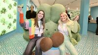 ieExplains: As Siofra Shamrock arrives in Ireland — what are Jellycats?