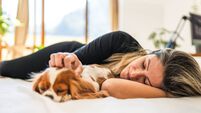 Adult woman lying in bed with her dog and enjoying the moment