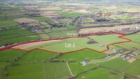 €16-€18k/acre sought for 77-acre parcel at prestigious Kilkenny address
