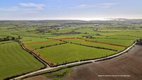 11 acres of quality grassland near Clonakilty already under offer