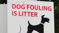 Letters to the Editor: It is clear that unfettered access by dogs is fouling our best places