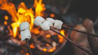 Group of people roasting marshmallows over a campfire, holding sticks with marshmallows near bright flames. Hot drinks with mars