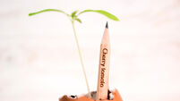 Tots to Teens: Choose sustainability with these plantable pencils that grow into herbs
