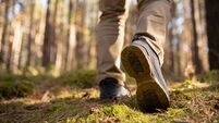 Person walking in the woods. Speed-hiking shoes closeup.