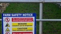 Think farm safety this summer, minister warns