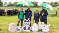 The ‘Stay Safe with Jessy’ competition brings farm safety to the classroom