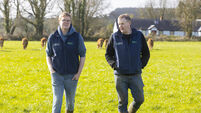 Dry spring delivers quality silage but slows grass growth in Youghal