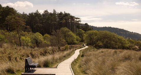 Staycations 2025: Forest walks to lift your soul