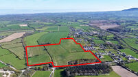 35-acre Wexford holding fetches almost €28k/acre at auction