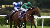 Royal Ascot next on the agenda for 'gorgeous' Zahrann