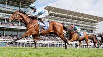 Epsom Derby 2025: the pin-stickers' guide 