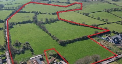 30-acre Golden Vale farm makes almost €20k/acre