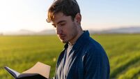 Young farmer reading a book in a green field at sunset