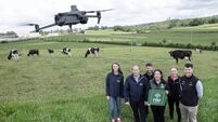 Teagasc launches 'This is Dairying' photo competition 2025