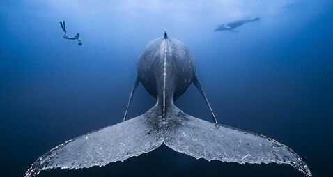 Irish Examiner view: Small changes add up on emissions