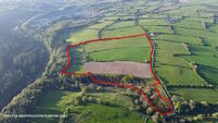 Pair of Wicklow farms fetch over €14k/acre at auctions