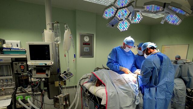 <p>The Human Tissue Act 2024 is a composite piece of legislation that includes provisions around 'donation and transplantation of organs, tissues, and cells, post-mortem practice and procedures, anatomical examination, and public display of bodies after death'. File picture</p>