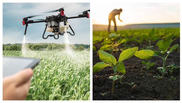 <p>Should we make all farming organic or focus on intensifying production in specific areas and rewild the rest? It’s a trade-off that pits land sparing against land sharing</p>