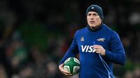 Ireland v Argentina - Autumn Nations Series