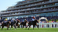 Royal Ascot 2025 - Day Two - Ascot Racecourse