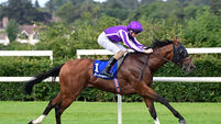 Mississippi River blitzs rivals at Leopardstown