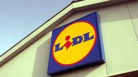 Retired tradesman avoids jail for driving with Lidl manager on car bonnet after checkout row