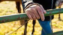 Close up ranchers rough hand on a gate holding a rein