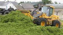 Brian Reidy: Don't let poor pit covers spoil your silage investment