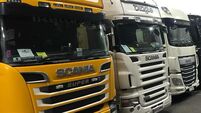 Truck drivers say roadside hedging costing '€1,000 a week replacing mirrors'