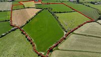 45-acre South Wexford farm for auction guiding at €16k/acre