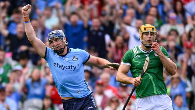 <p>Celebrating Dublin victory was not about being anti-Limerick but the feeling that what is rare is beautiful. Pic: Ramsey Cardy/Sportsfile</p>