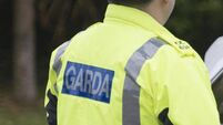 Man, 20s, dies after hit-and-run incident in Dublin
